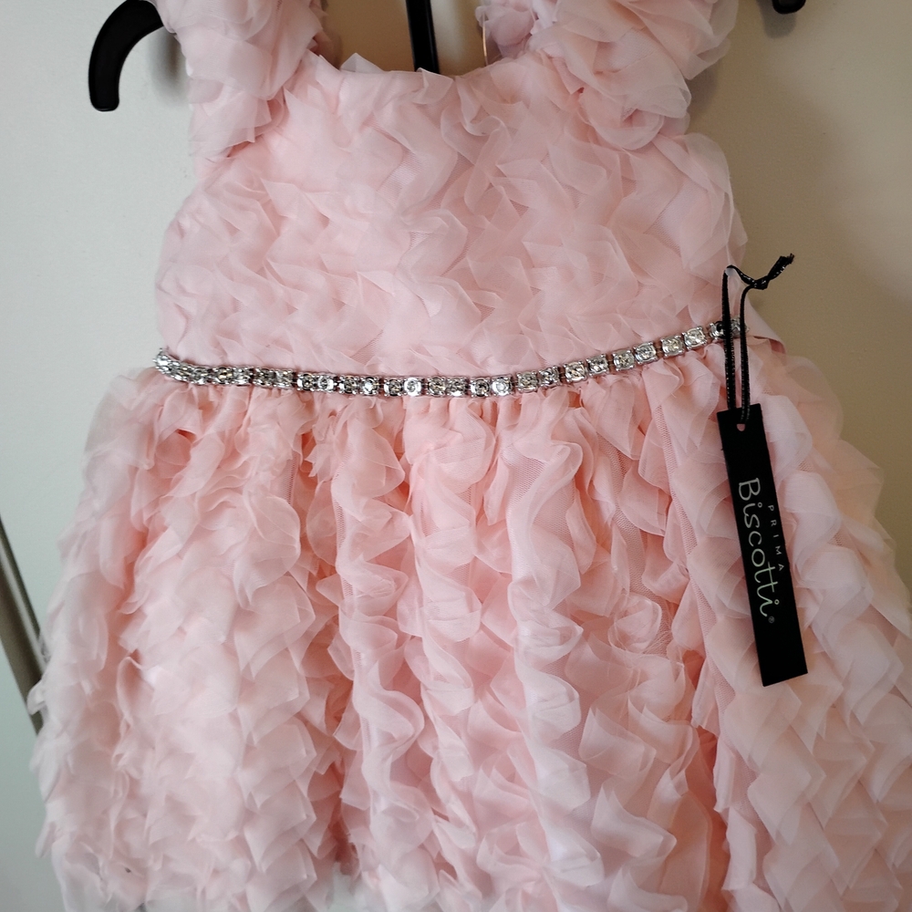 Biscotti Blush Ruffled Dress with Sparkling Waistband
